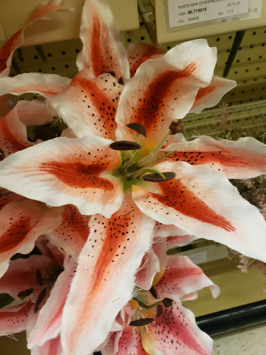 Craft Store «Hobby Lobby», reviews and photos, 801 E Bell Rd, Phoenix, AZ 85022, USA