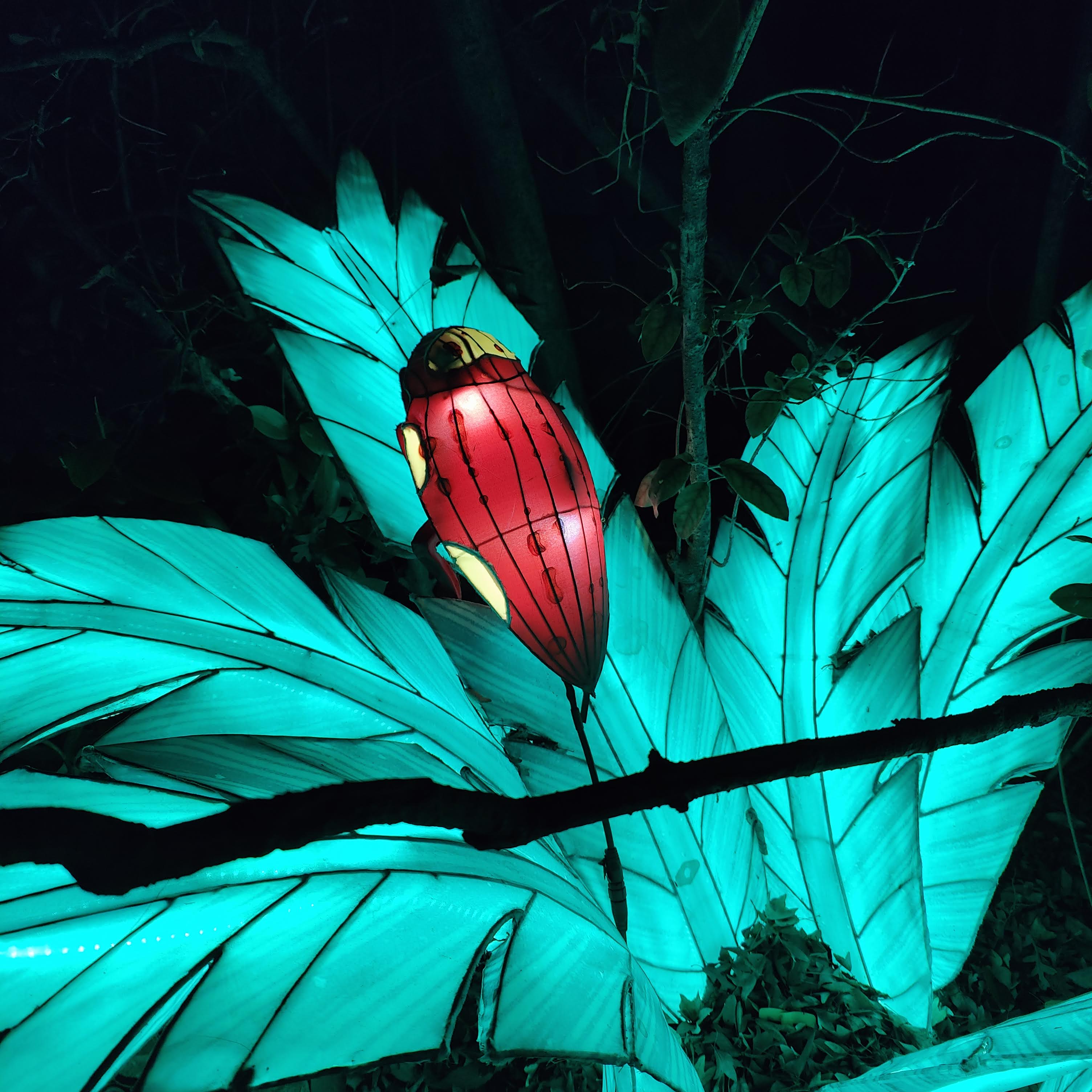 Photo n° 49 de l'avis de Mathieu.H fait le 31/12/2018 à 20:46