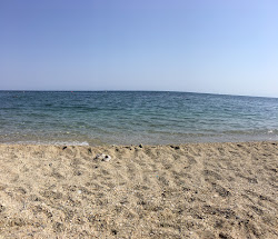 Playa de Poniente'in fotoğrafı - rahatlamayı sevenler arasında popüler bir yer