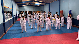 Escuela Taekwondo Norte Grande