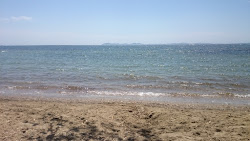 Plage des Vieux Salins'in fotoğrafı - rahatlamayı sevenler arasında popüler bir yer