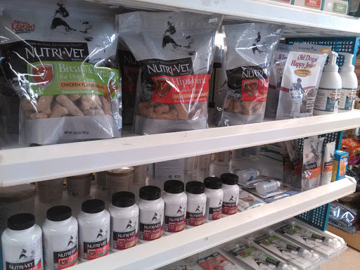 Pet Store «Barkz & Wagz», reviews and photos, 38445 Co Rd 54, Zephyrhills, FL 33542, USA