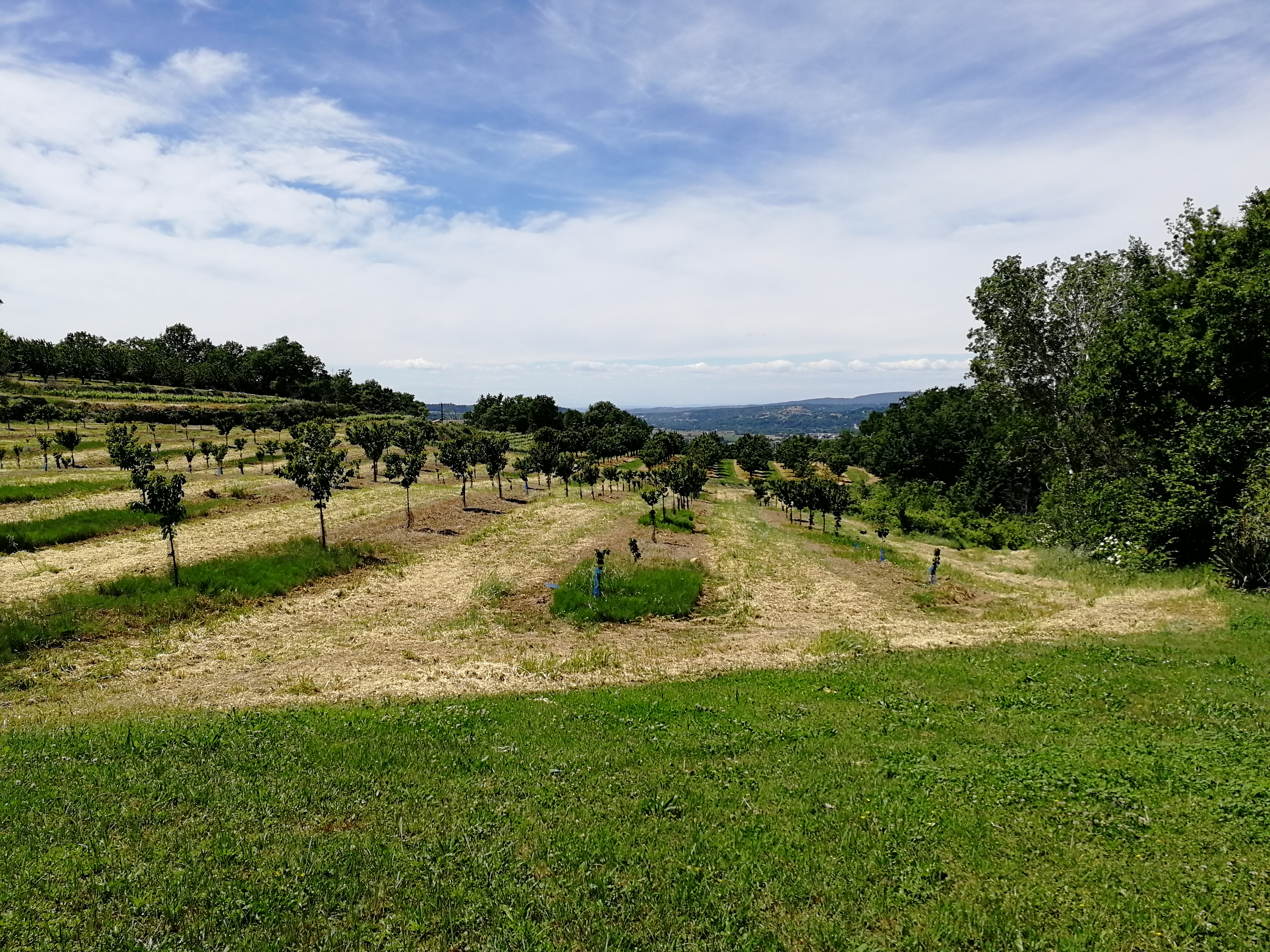 Photo n° 1 de l'avis de Mathias.e fait le 01/06/2019 à 11:53