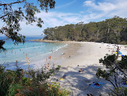 Blenheim Beach photo #5