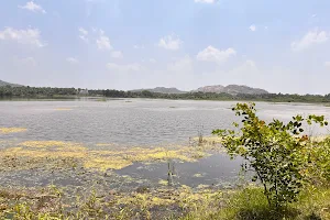 Devarahosahalli Lake image