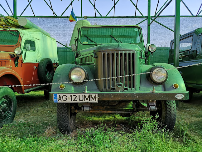 Opinii despre Muzeul Automobilului Românesc în <nil> - Muzeu