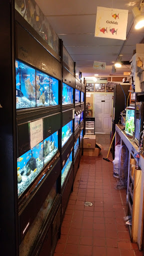 Pet Store «Pets Plus Inc», reviews and photos, 2610 Jefferson Davis Hwy, Stafford, VA 22554, USA