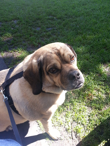 Shopping Mall «Union Square, San Francisco», reviews and photos, 333 Post St, San Francisco, CA 94108, USA