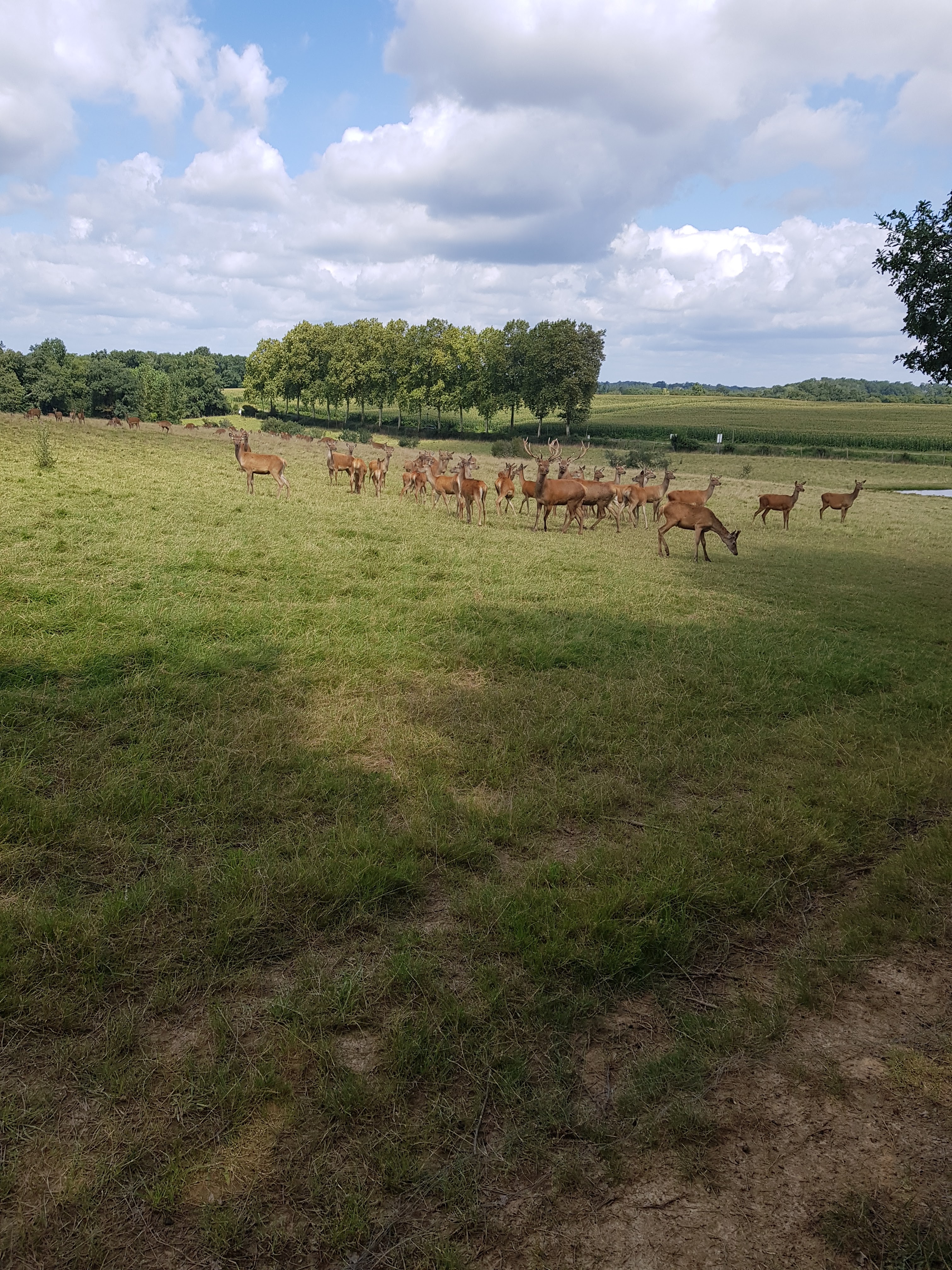 Photo n° 7 de l'avis de Michael.w fait le 13/08/2017 à 11:58