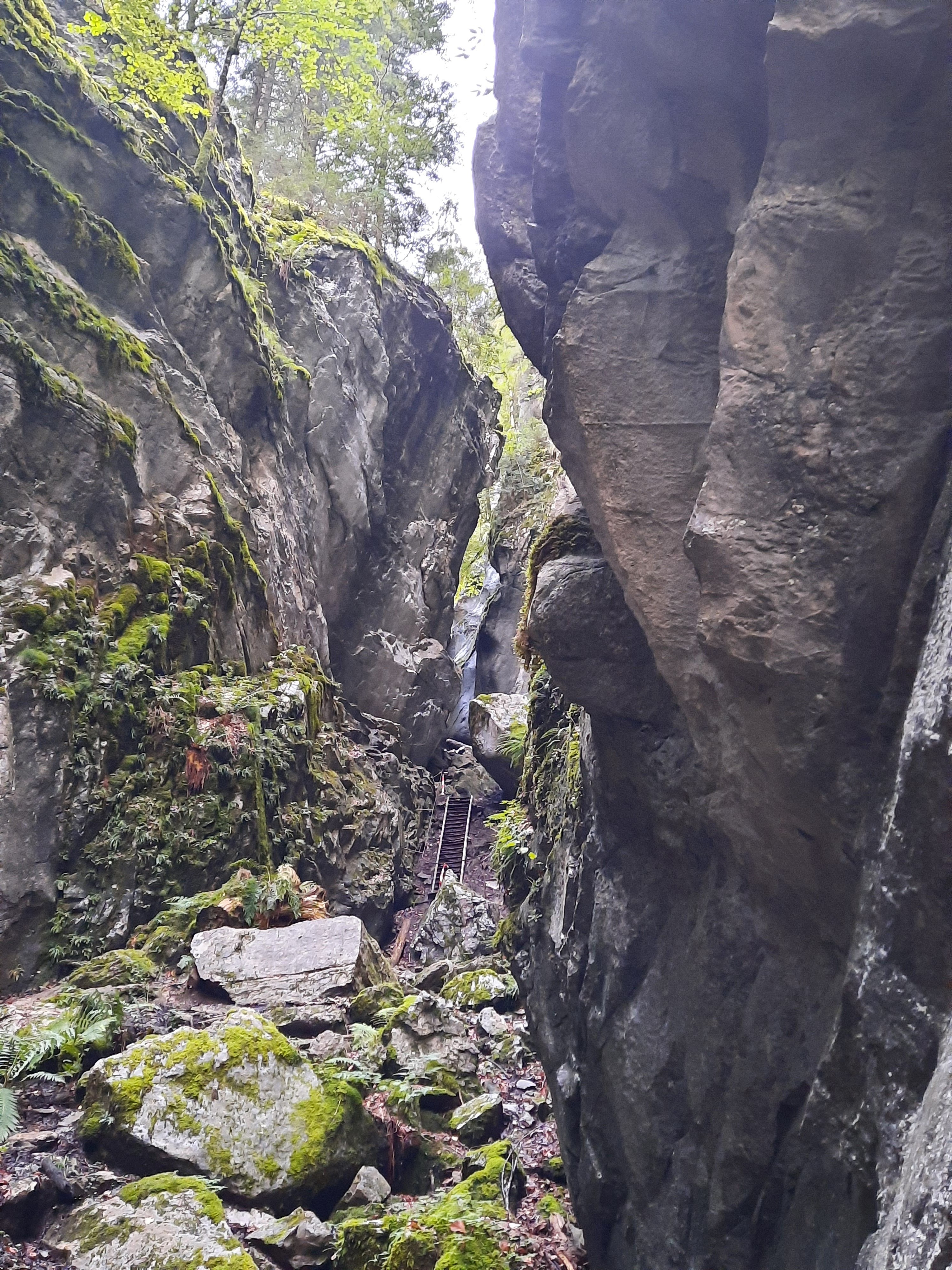 Photo n° 5 de l'avis de Corinne. fait le 18/09/2021 à 17:16