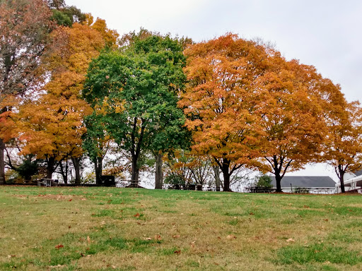 National Park «Wolf Trap National Park for the Performing Arts», reviews and photos, 1551 Trap Rd, Vienna, VA 22182, USA