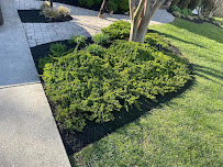 LANDSCAPING GREENMASTER, LLC - Photo 9 - Car repair in Waldorf, MD, Waldorf