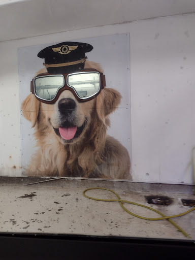 Waterfly Express Car Wash image