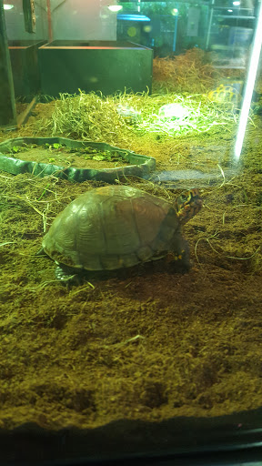 Pet Store «Lebanon Pet & Aquarium Center», reviews and photos, 196 S Main St, West Lebanon, NH 03784, USA