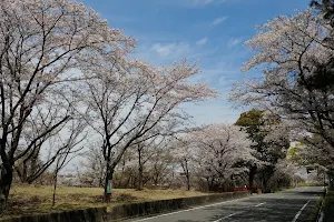 Nigoriike Natural Park image