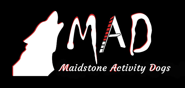Maidstone Activity Dogs - Maidstone