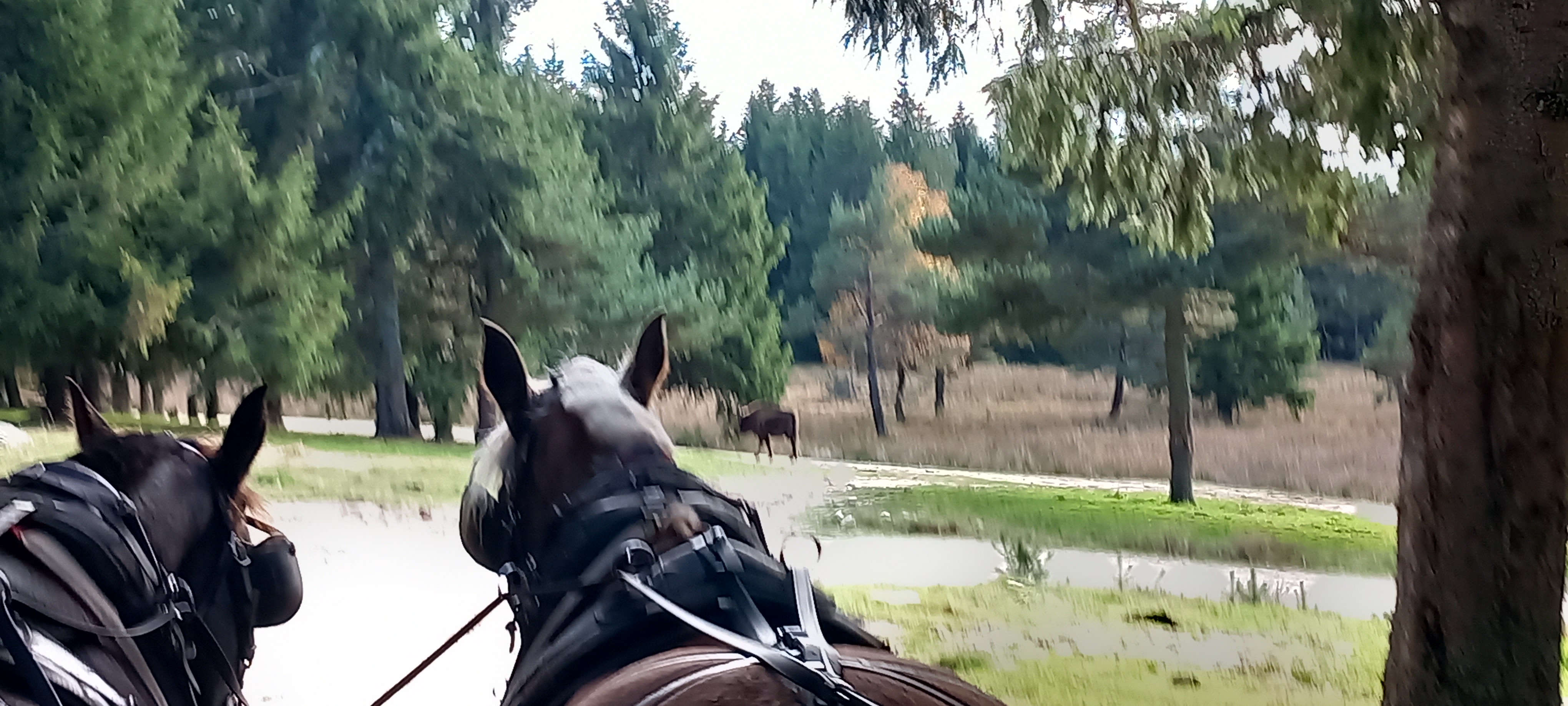 Photo n° 3 de l'avis de Phil.e fait le 01/11/2022 à 16:27