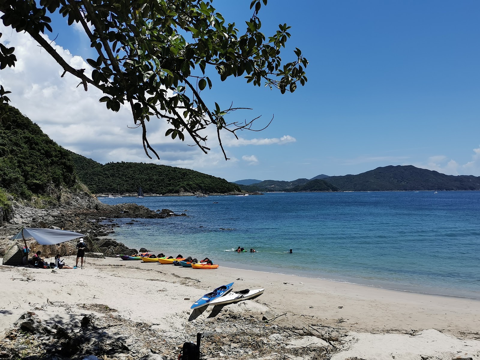 Campsite Bay'in fotoğrafı vahşi alan