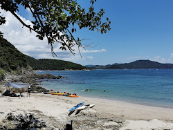 Campsite Bay'in fotoğrafı vahşi alan