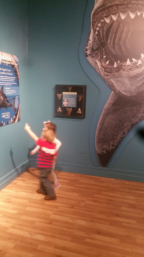 Museum «Museum», reviews and photos, 2142 Southern Dr, Statesboro, GA 30458, USA