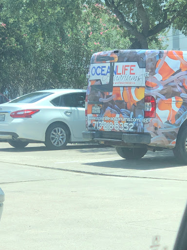 Tropical Fish Store «OceanLife Aquariums», reviews and photos, 5475 West Loop S, Houston, TX 77081, USA
