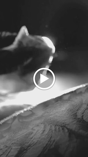 Explore mens neck tattoo ideas, creative tattoo ideas in Kissimmee, available at Fallen Heroes Tattoo & Piercing (Florida)