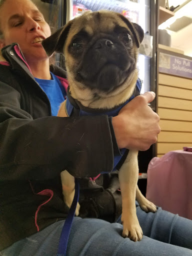 Pet Supply Store «Pet Supplies Plus», reviews and photos, 3100 Manchester Rd, Akron, OH 44319, USA