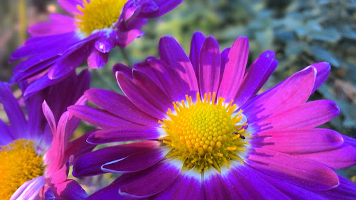 Park «Carl Schurz Park», reviews and photos, East 86th Street & East End Ave, New York, NY 10028, USA