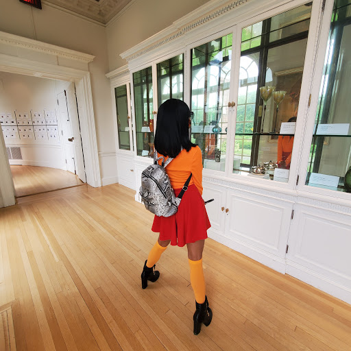 Museum «Nassau County Museum of Art», reviews and photos, 1 Museum Dr, Roslyn, NY 11576, USA