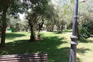 Parque de los Olivos image