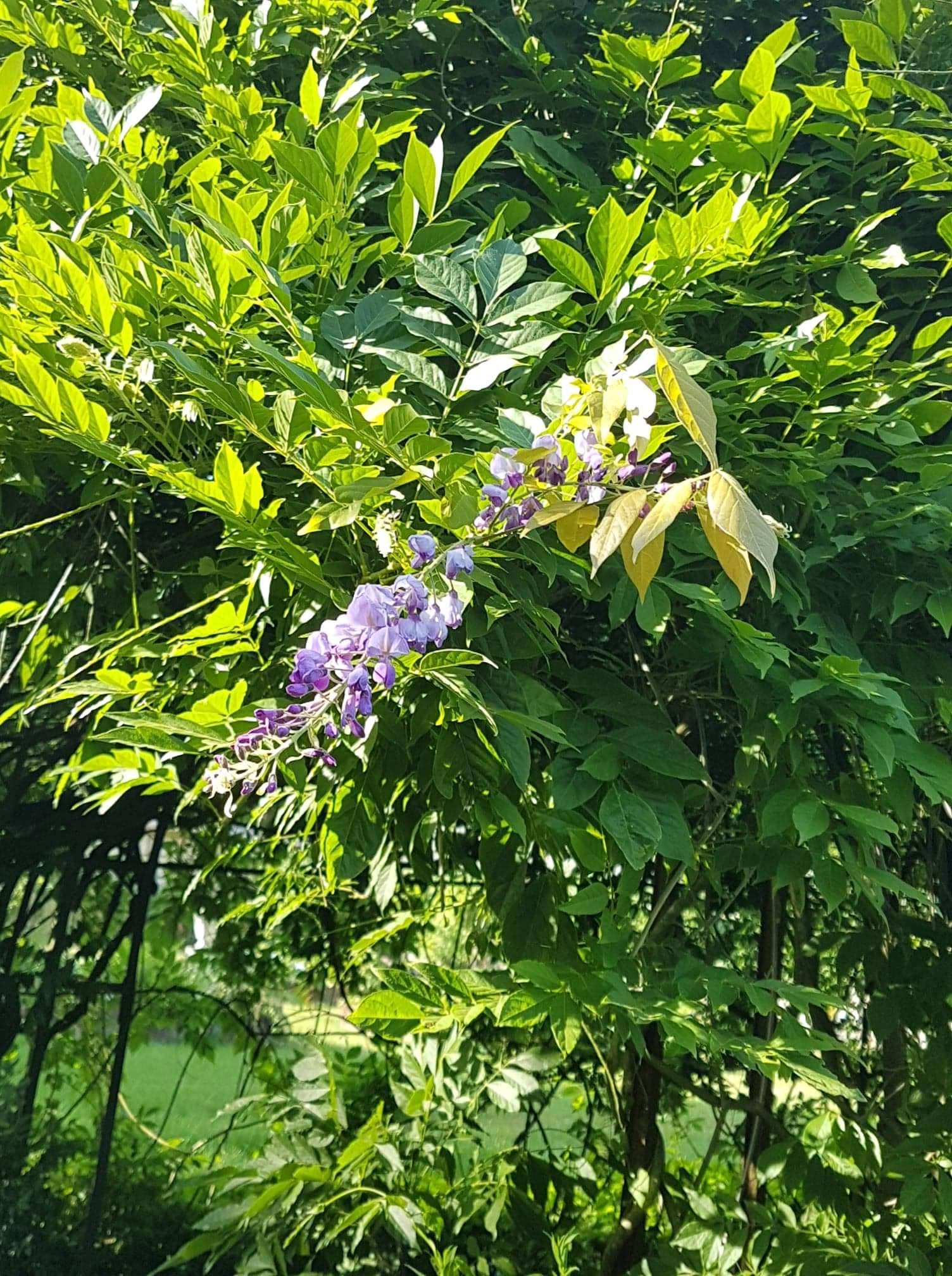 Photo n° 2 de l'avis de Jasmine.a fait le 14/07/2019 à 13:25