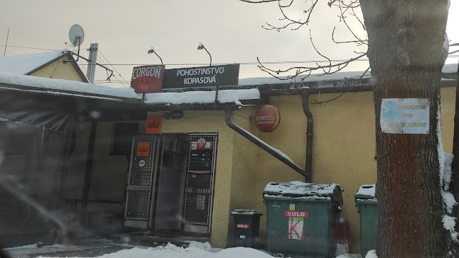 Pohostinstvo Olga Kopasová - Reštaurácia