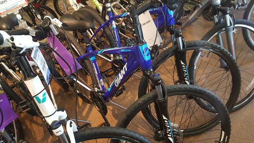 Bicycle Store «Martins Bike Shop», reviews and photos, 1891 Division Hwy, Ephrata, PA 17522, USA