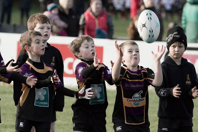 Comments and reviews of Seahorses Mini Rugby Belfast