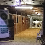 Photo n°10 de l'avis de Massimiliano.a fait le 13/08/2021 à 19:00 sur le  Asd C'era Una Volta il West à Fiumicino