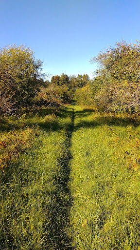 Heald Street Orchard