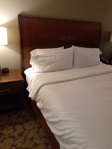 Hotel «Hilton Garden Inn Atlanta North/Alpharetta», reviews and photos, 4025 Windward Plaza, Alpharetta, GA 30005, USA