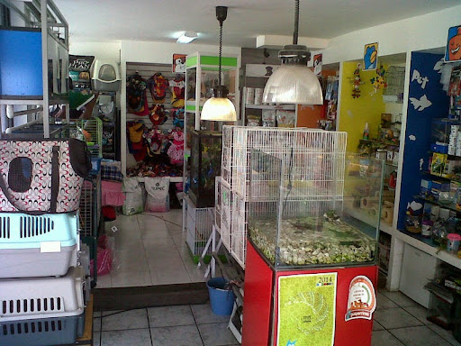 Pet Store Galeria Las Animas