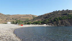 Φωτογραφία του Peyrefite beach περιτριγυρισμένο από βουνά