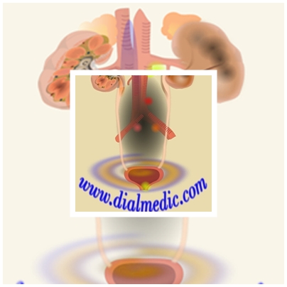 Clínica Dialmedic en Ciudad Real, Ciudad Real