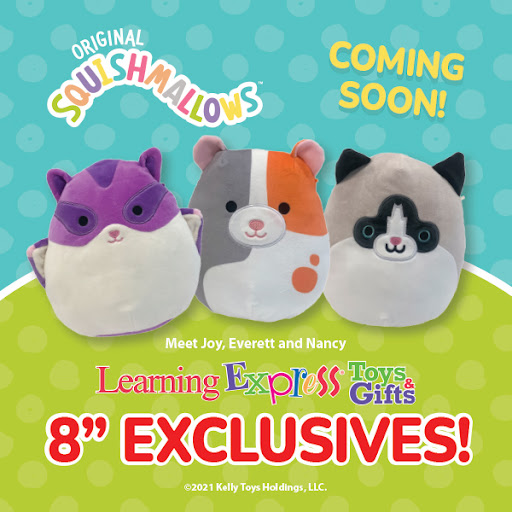 Toy Store «Learning Express», reviews and photos, 3013 Yamato Rd, Boca Raton, FL 33434, USA