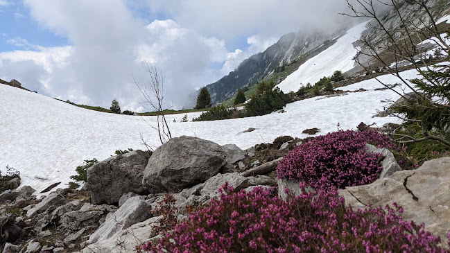 Schibechnölli - Glarus Nord