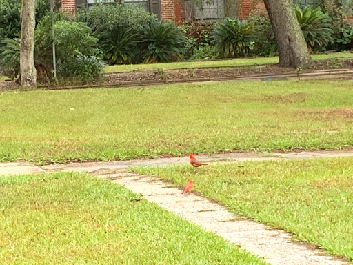 Park «Panama Park», reviews and photos, 6912 Buffalo Ave, Jacksonville, FL 32208, USA