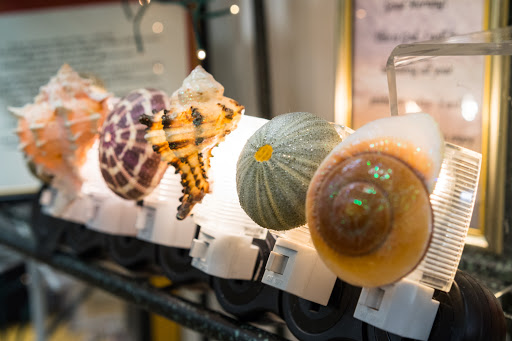 Gift Shop «Southern Charm», reviews and photos, 1105 Walnut St, Cary, NC 27511, USA