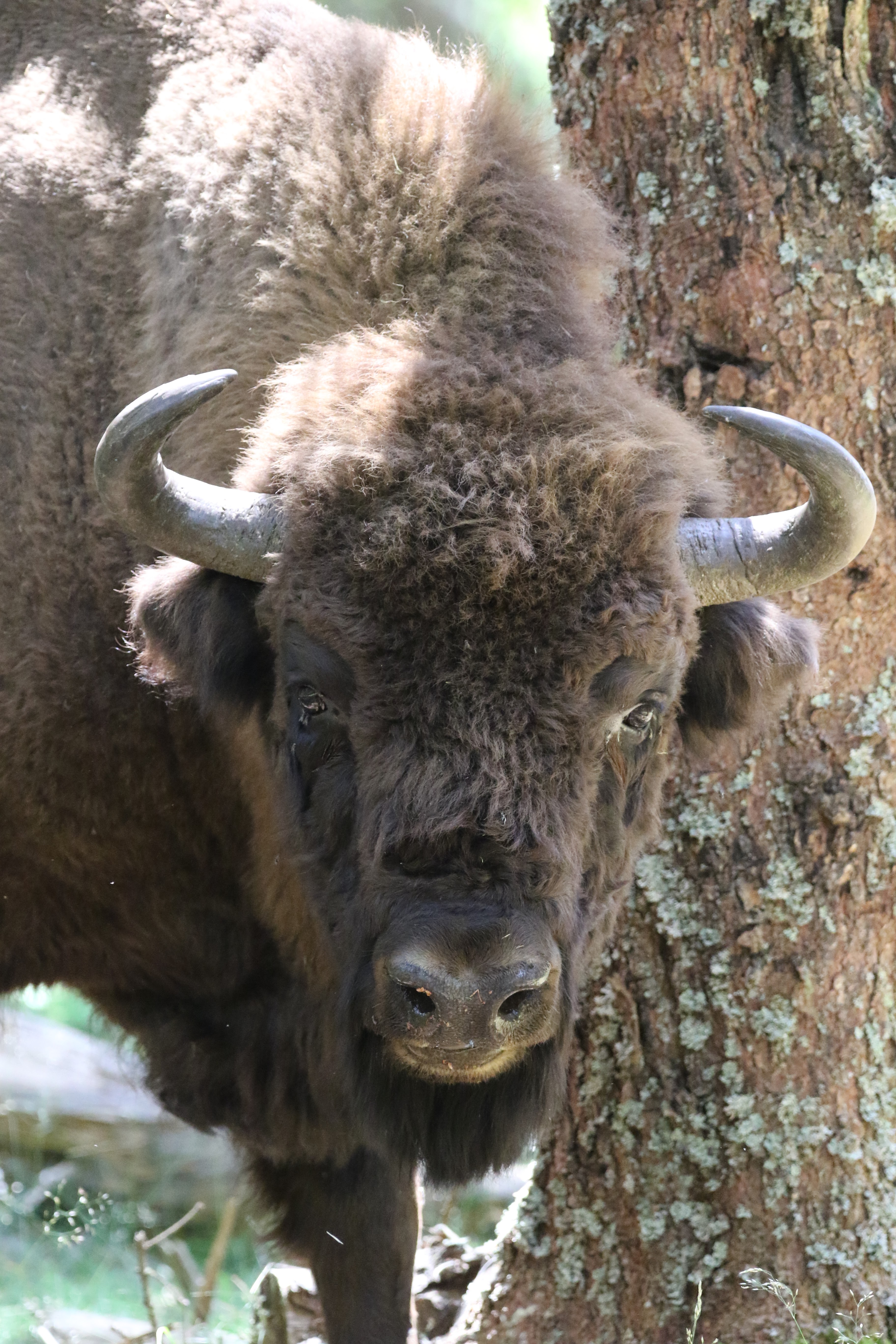 Photo n° 1 de l'avis de Philippe.M fait le 24/07/2023 à 07:54