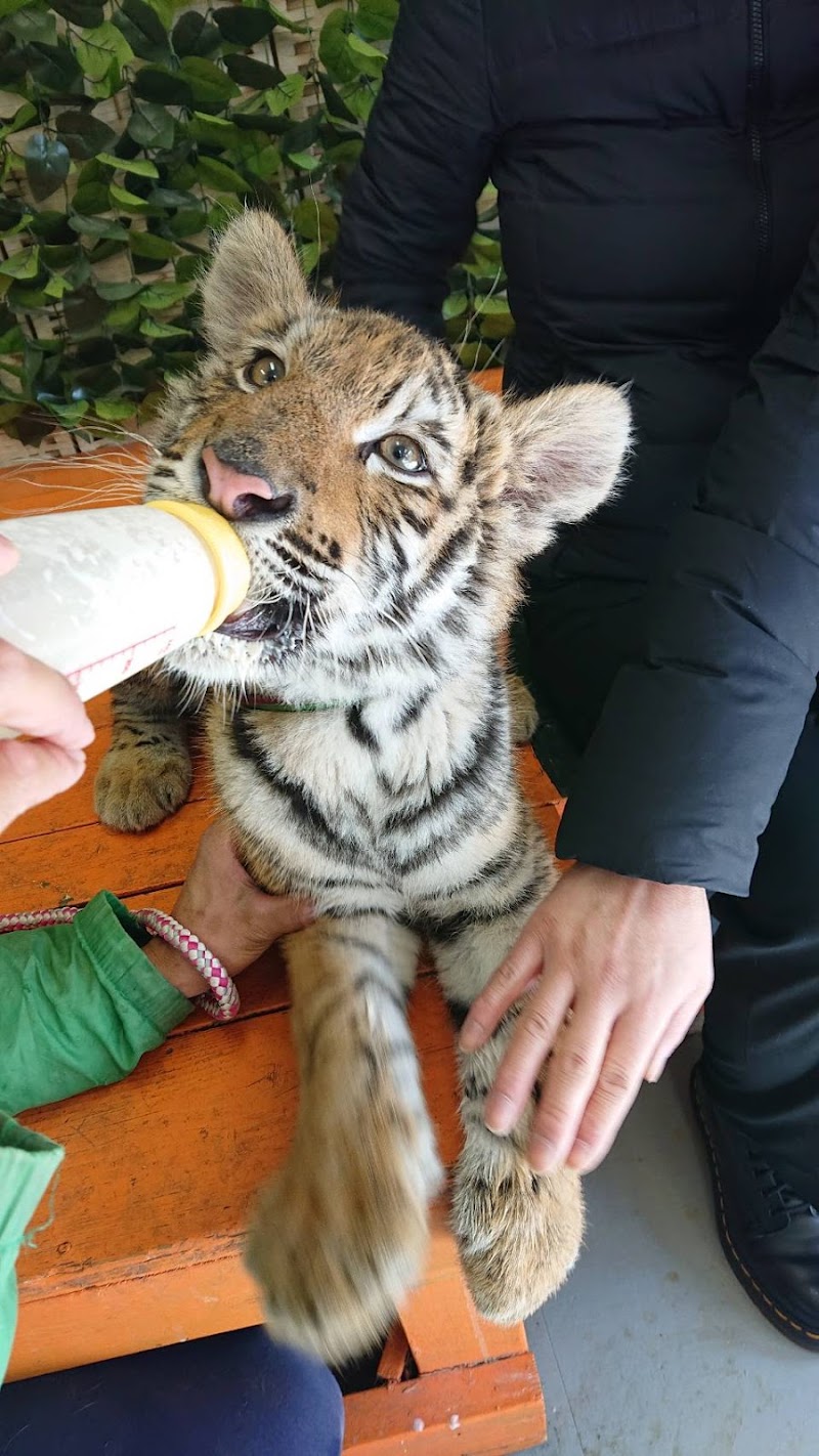 しろとり動物園 香川県東かがわ市松原 動物園 動物園 グルコミ