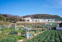 横須賀市立津久井小学校