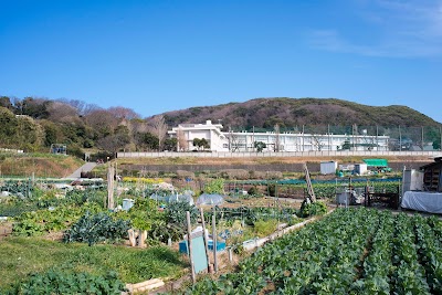横須賀市立津久井小学校