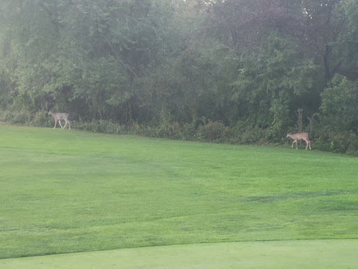 Golf Driving Range «Patriot Golf Course», reviews and photos, 200 Springs Rd, Bedford, MA 01730, USA