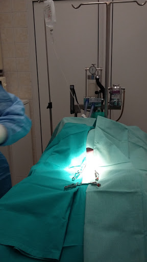 Centro Veterinario Lakua en Vitoria-Gasteiz